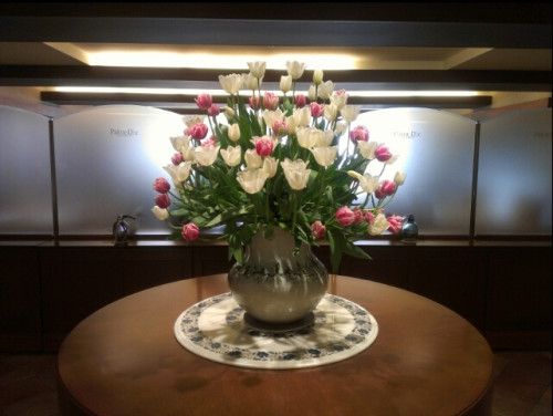 パルムドール学園前